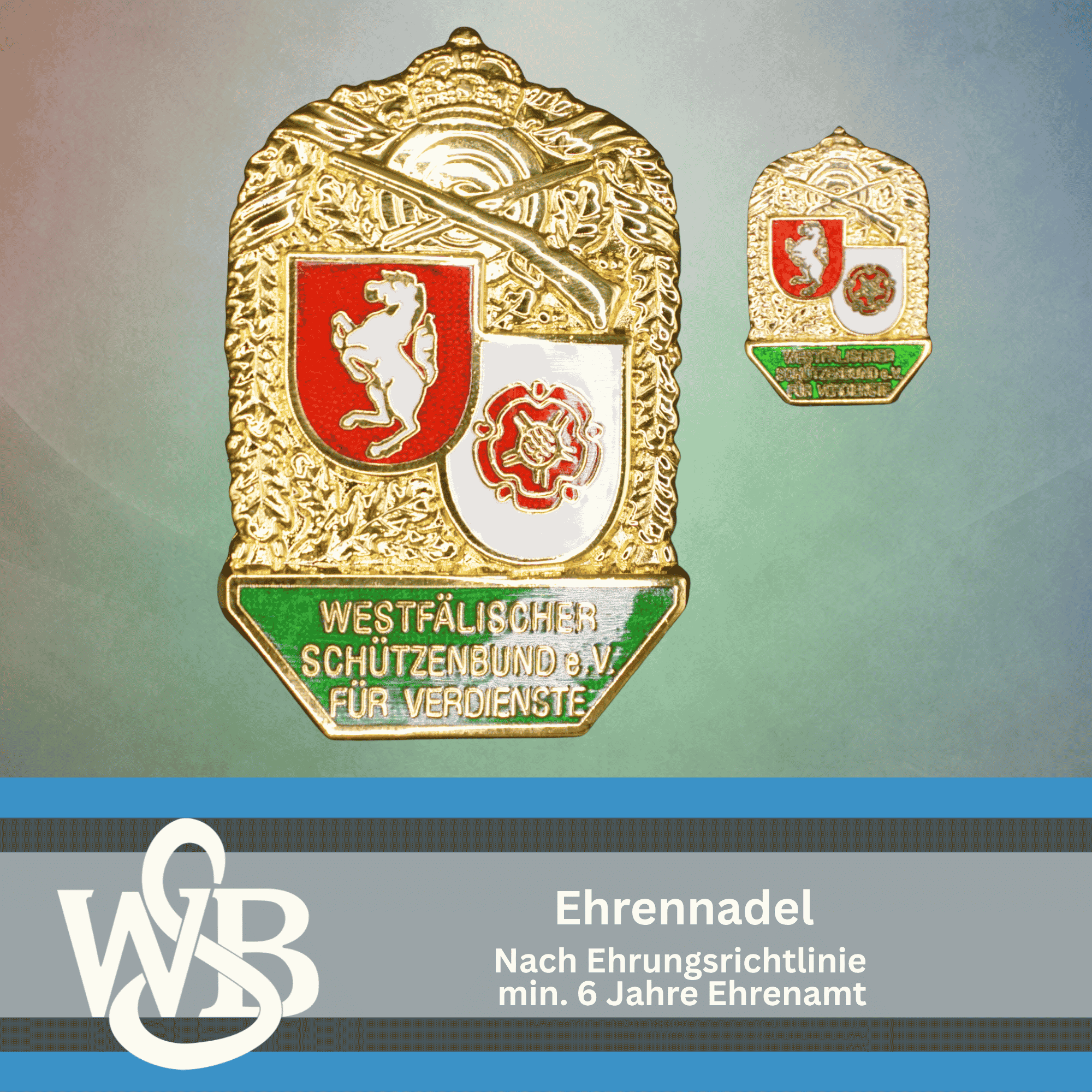 WSB Ehrennadel