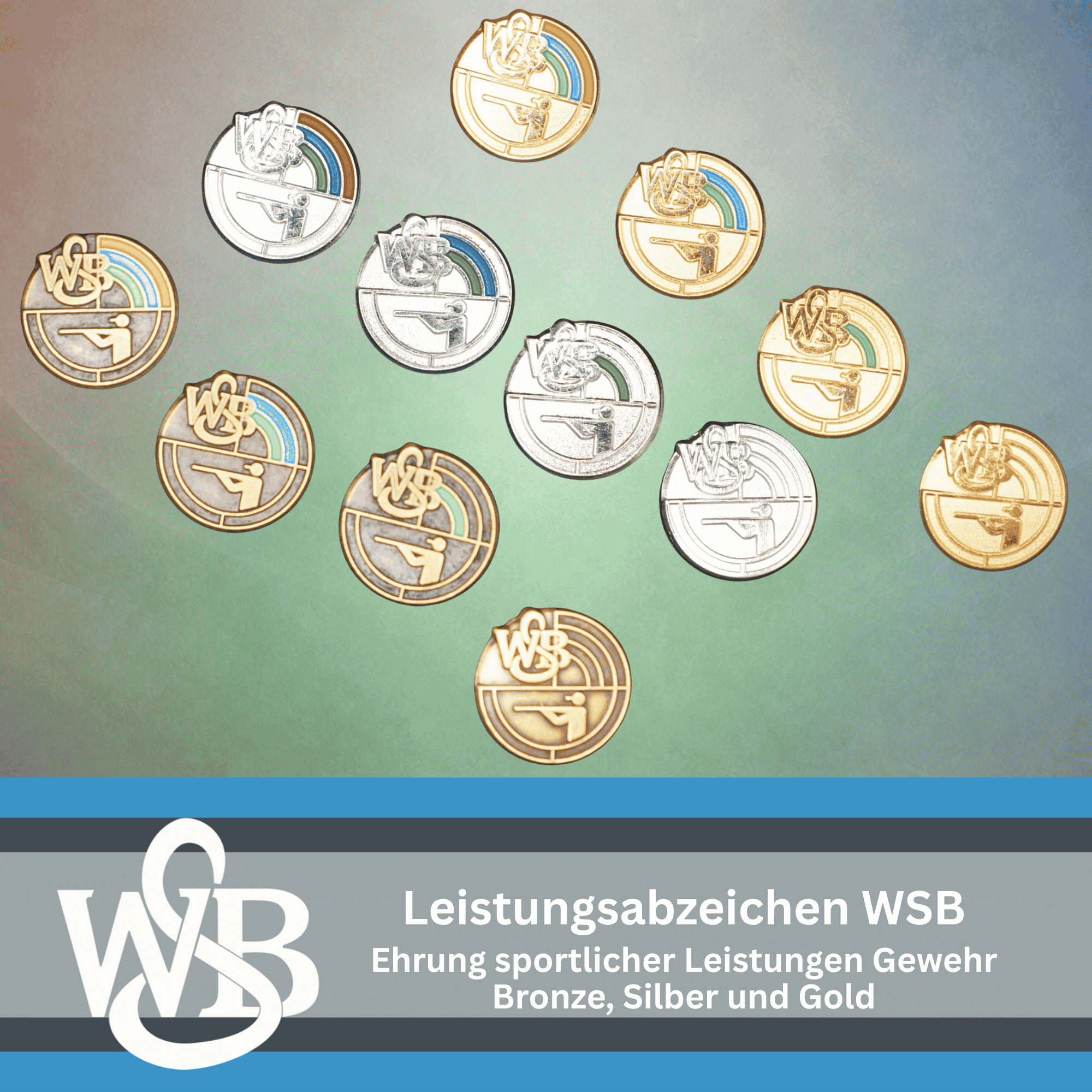 WSB Leistungsabzeichen Gewehr