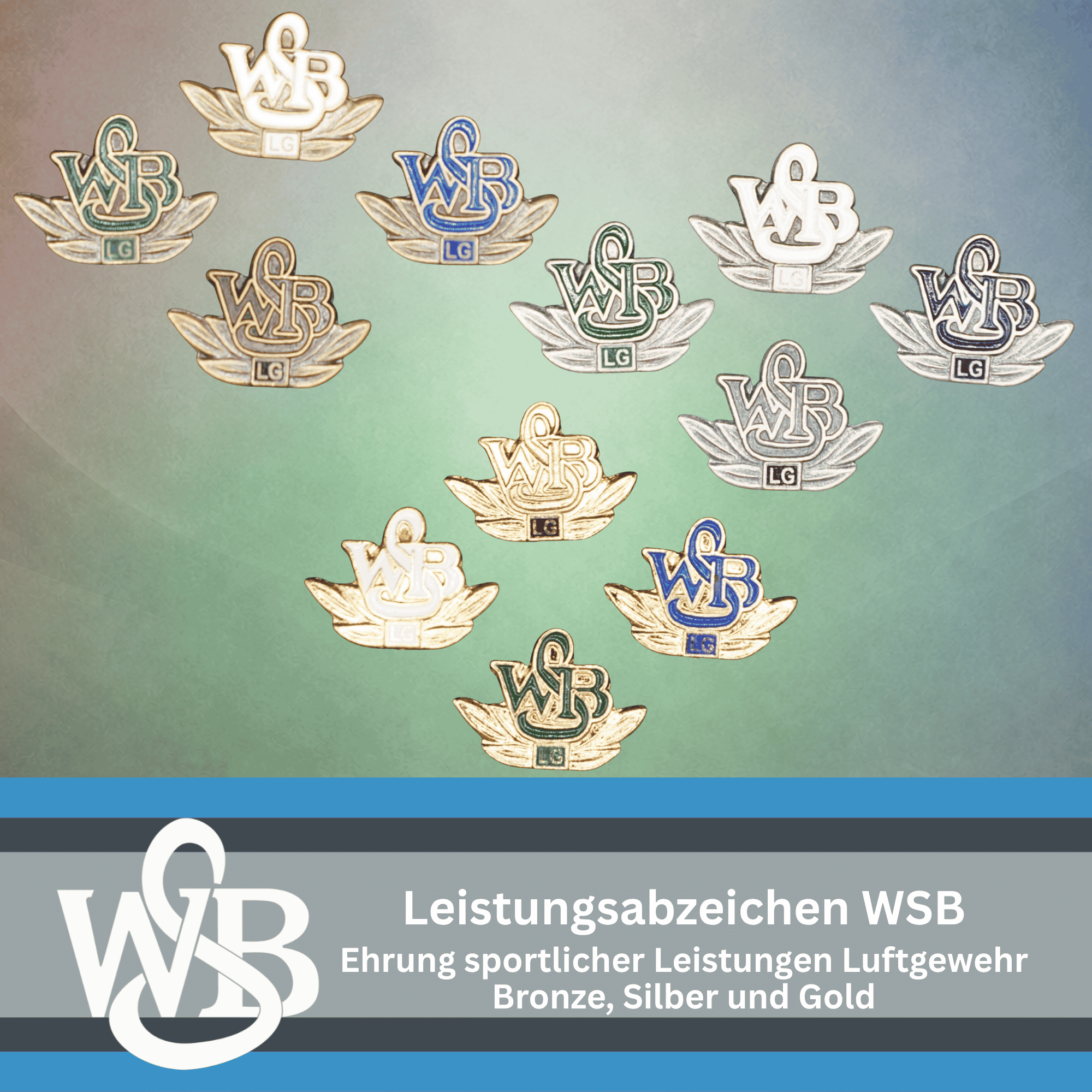 WSB Leistungsabzeichen Luftgewehr