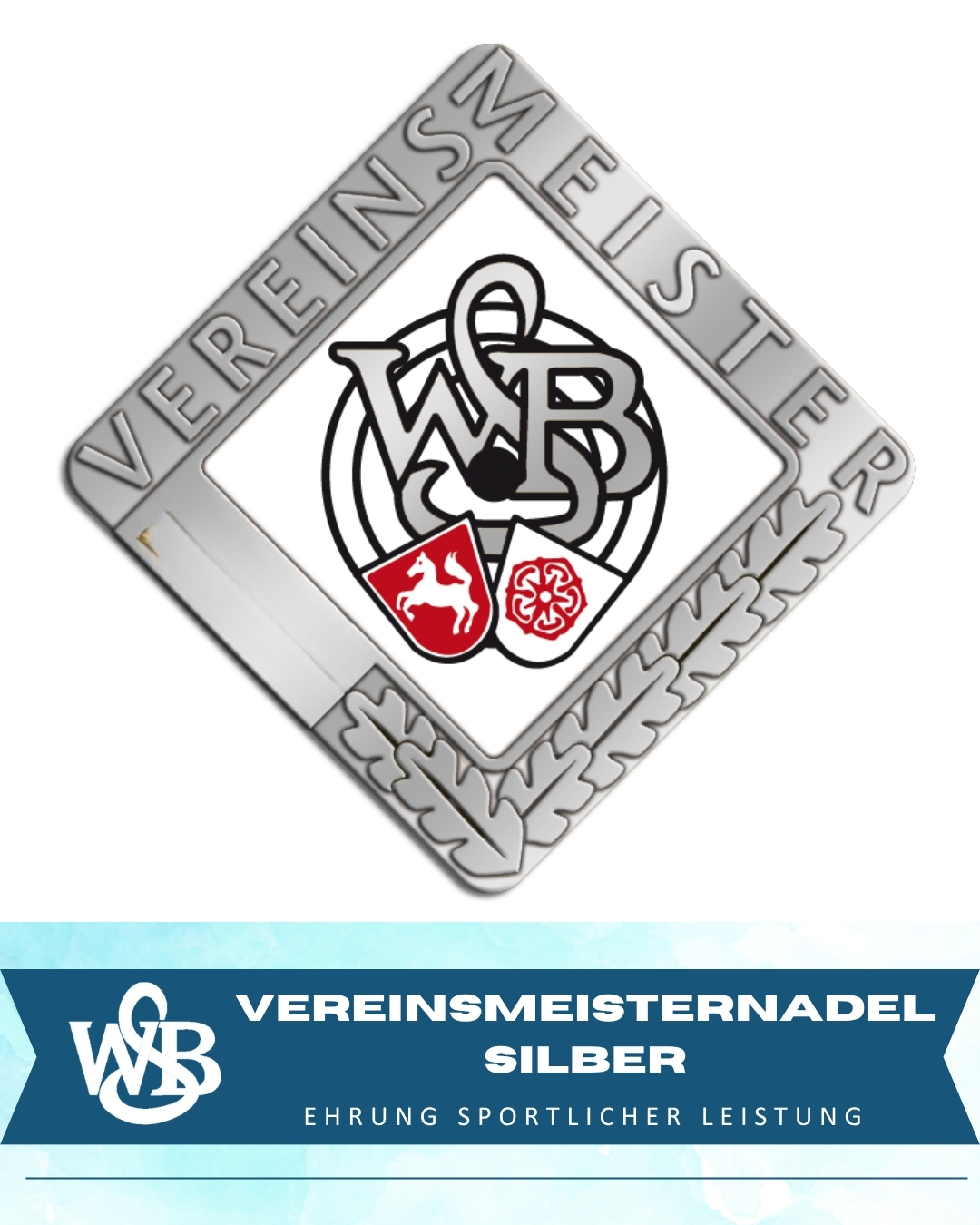 VM Silber WSB