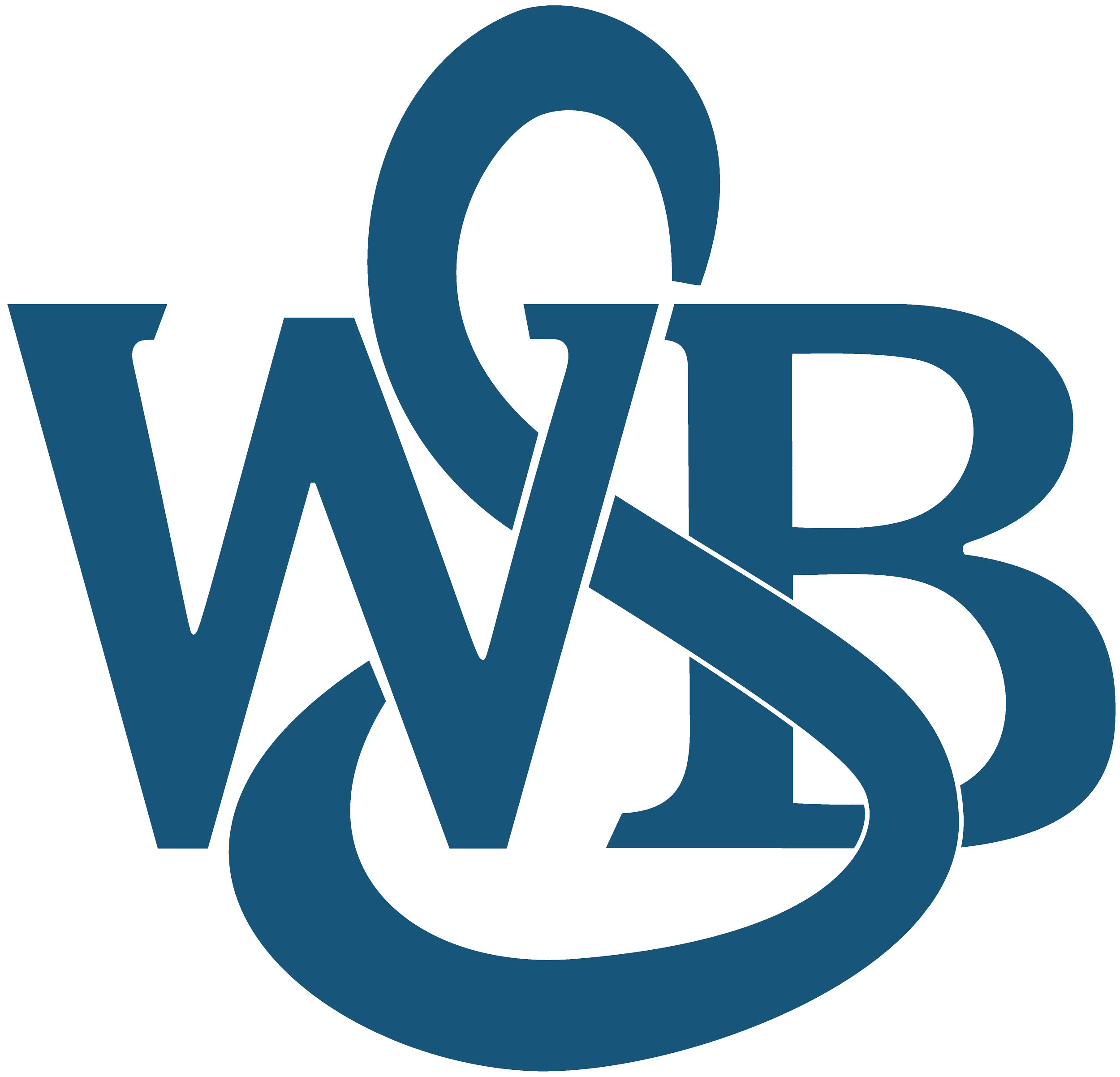 WSB Logo PNG